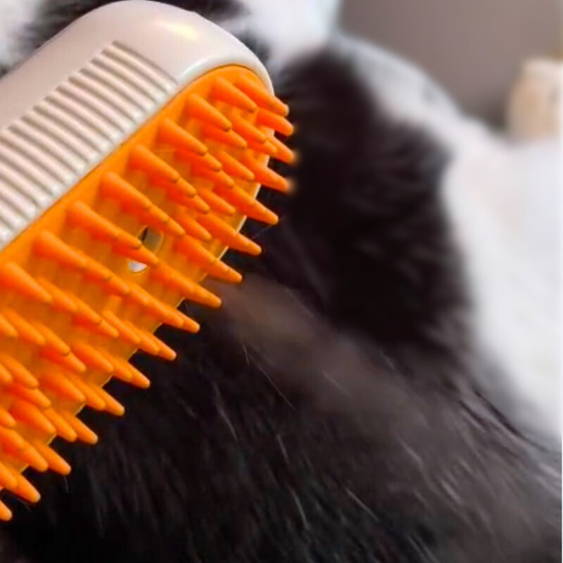Steam Pet Brush